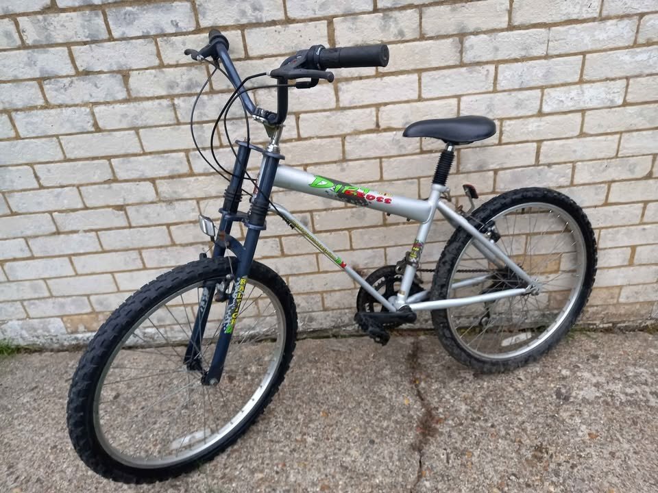 Boys Raleigh Bike