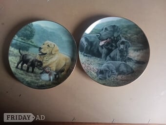 Labrador Collectors plates x2, Franklin Mint.  by Nigel Hemming