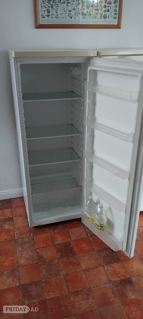 Tall Larder Fridge