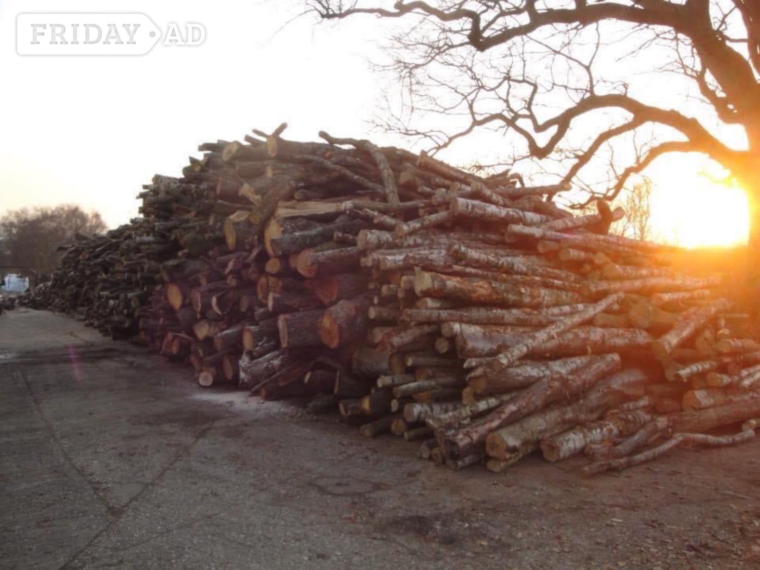 Brighton Robs Logs dry and seasoned hardwood logs & kindling