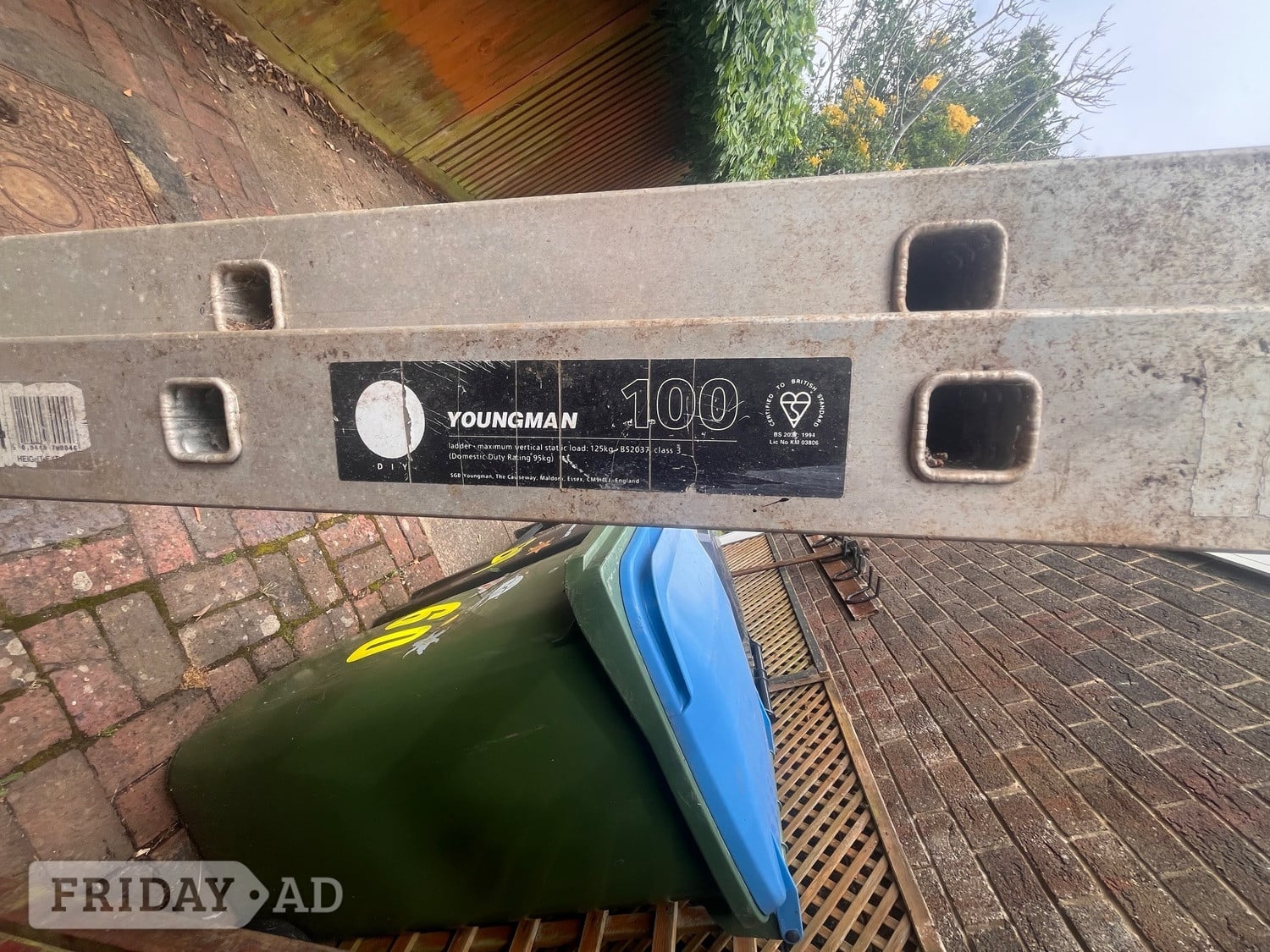 Littlehampton Young man 100 heavy duty ladder