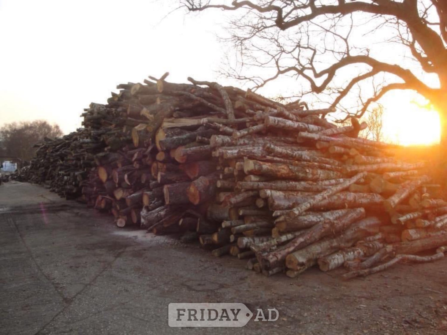 Burgess Hill Robs Logs dry and seasoned hardwood logs & kindling