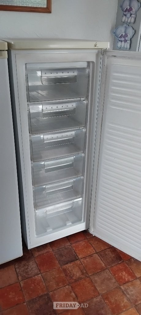 Upright Tall Freezer