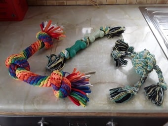 Assortment dog toys.