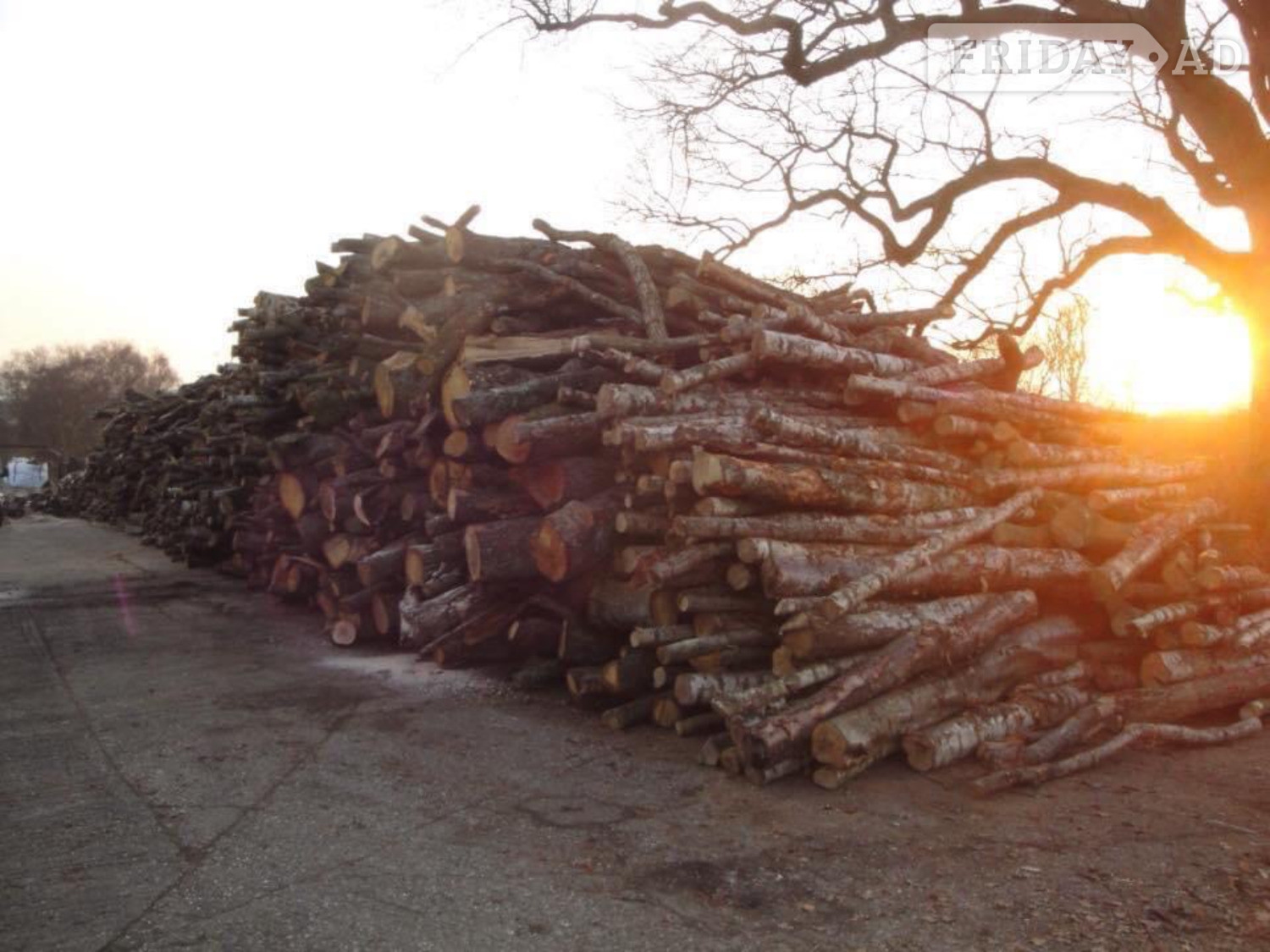 Crawley Robs Logs dry and seasoned logs
