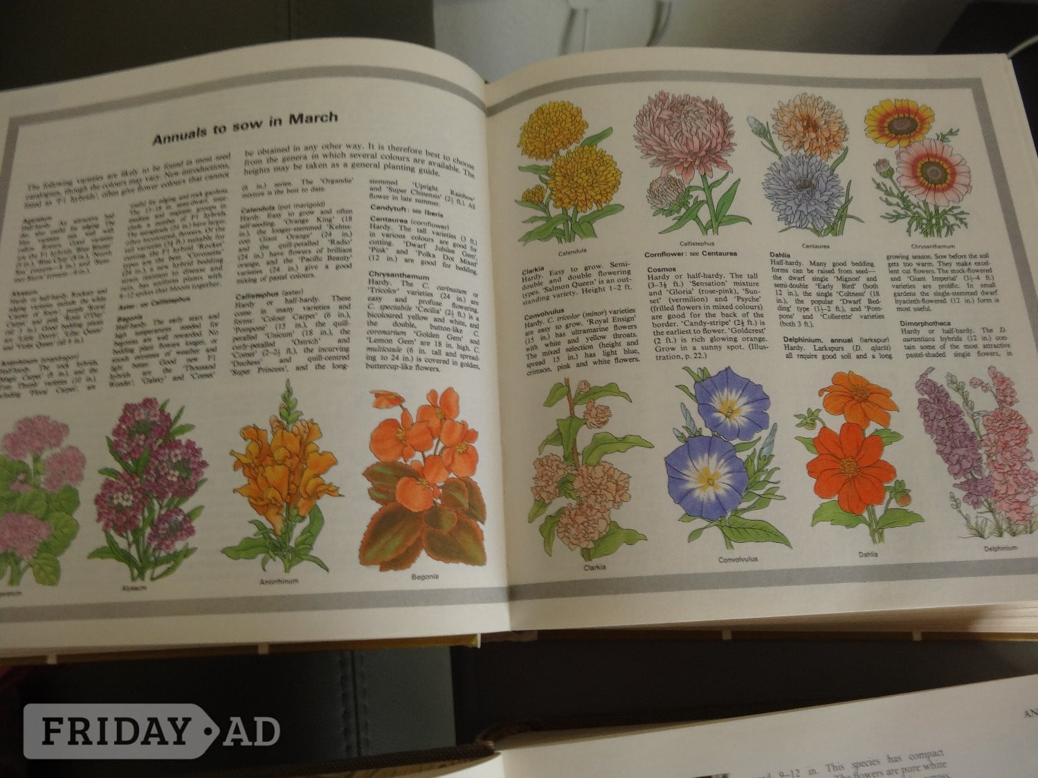 Two fully illustrated Readers Digest gardening books