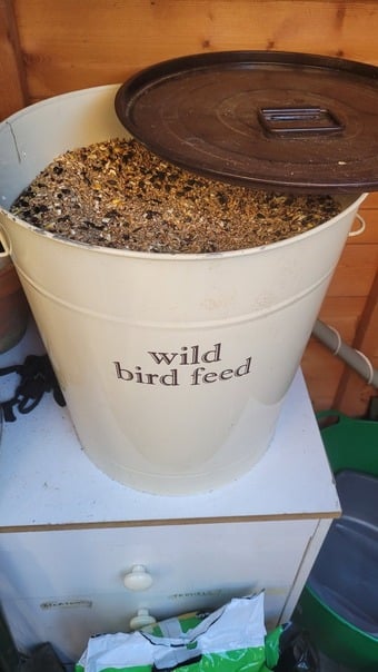 Large quantity of bird seed - in Large container with lid
