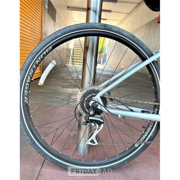 Trek Dual Sport 2 Hybrid Bike