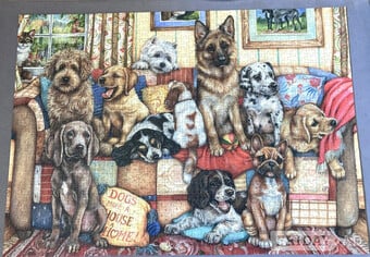 Falcon de luxe “Gathering on the Couch”  1000 Piece Jigsaw Puzzle