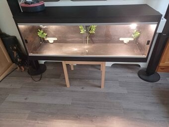 Vivarium LARGE 4 foot with electrics