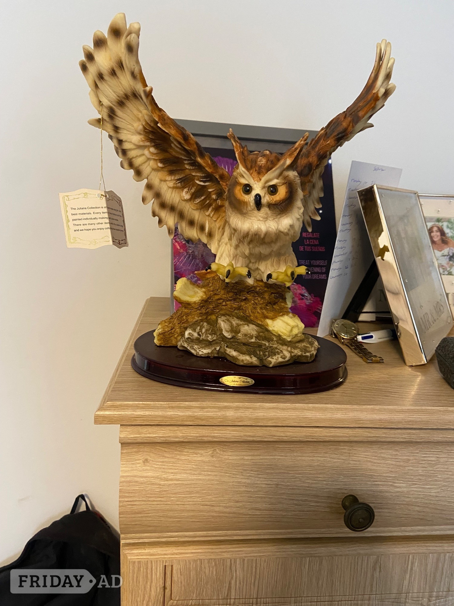 Owls for sale 