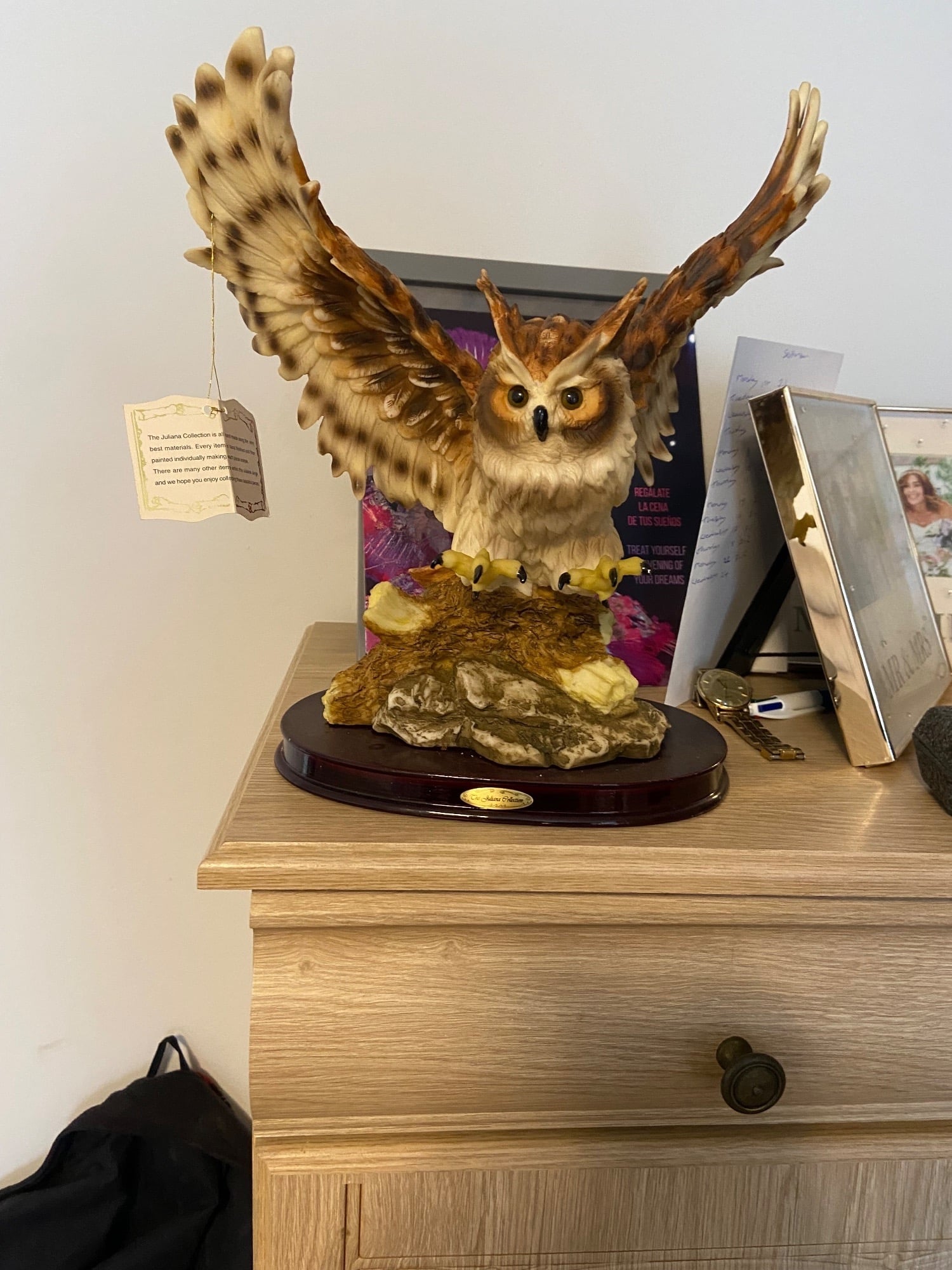 Owls for sale 