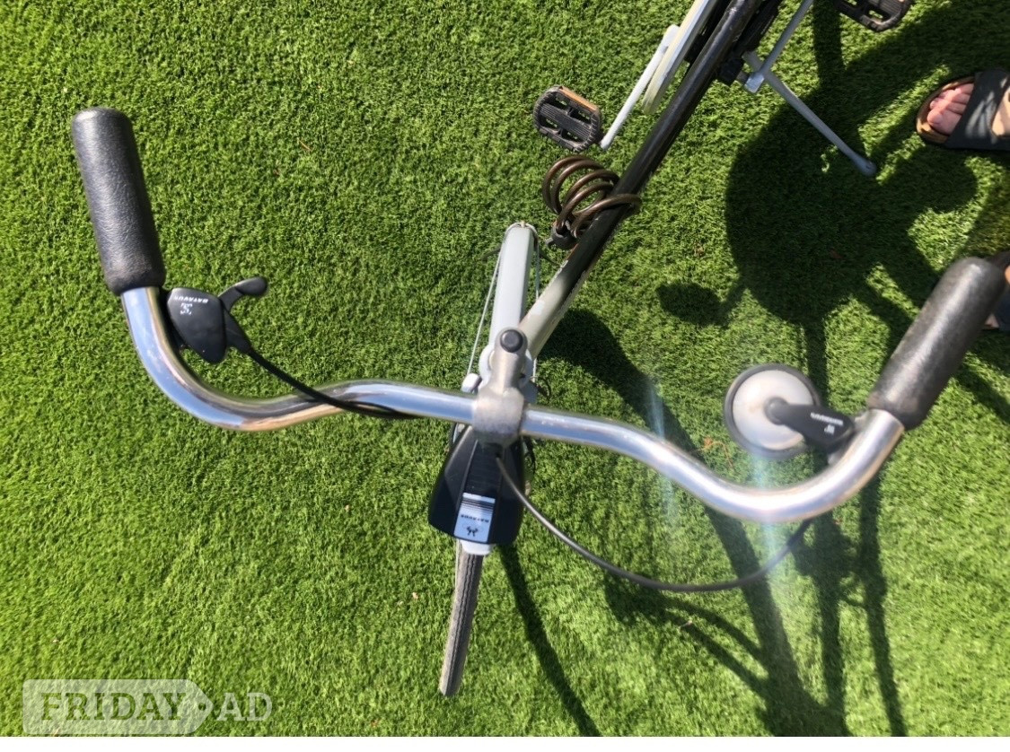 Bexhill-On-Sea Original BATAVUS 3 speed DUTCH ladies bike  