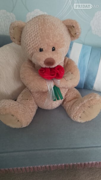 Large Teddy bear