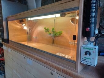 Vivarium LARGE 4 foot with electrics