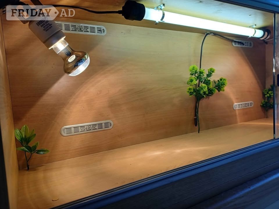 Gillingham Vivarium LARGE 4 foot with electrics