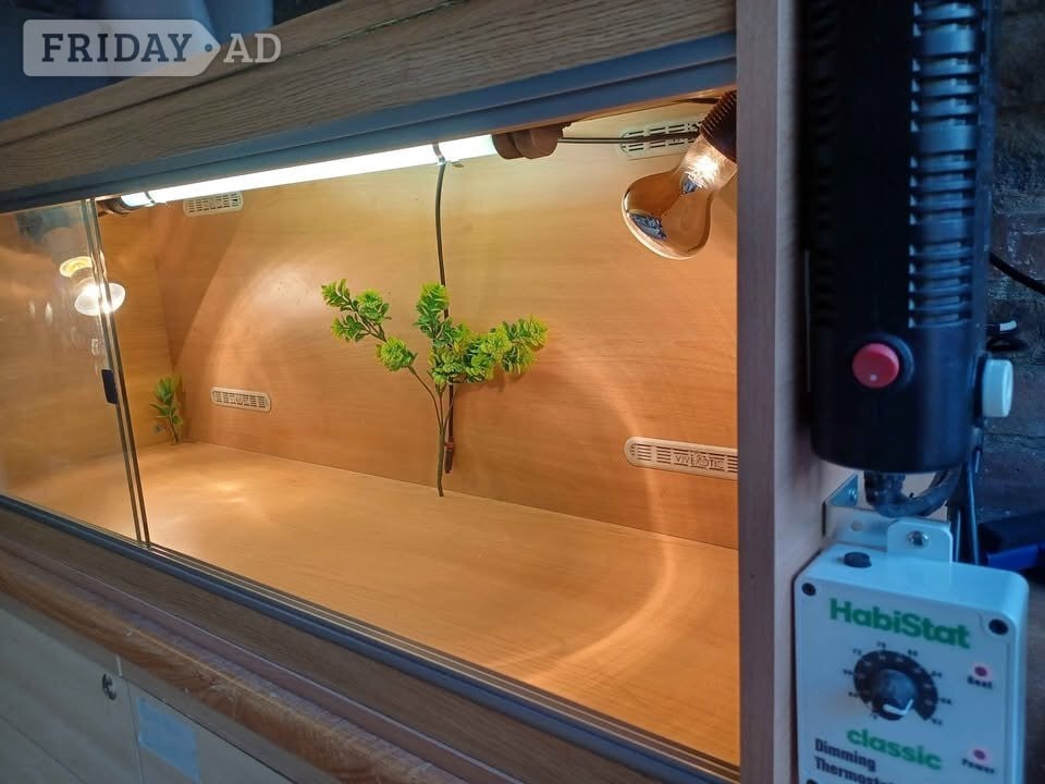 Vivarium LARGE 4 foot with electrics - Pet Accessories & Supplies in Gillingham