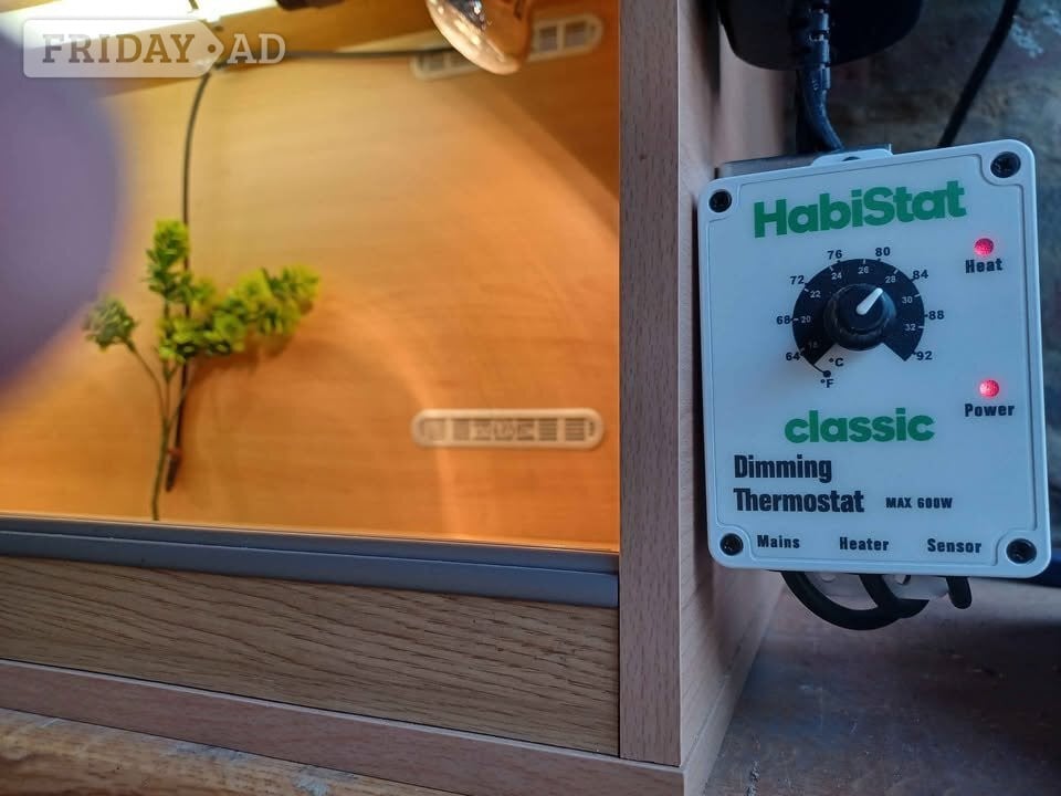 Vivarium LARGE 4 foot with electrics - Pet Accessories & Supplies