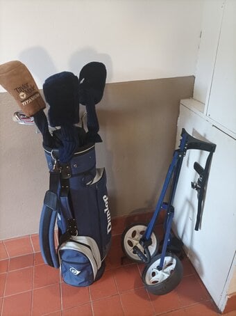 Golf clubs with bag