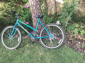 Apollo Fever Mountain bike 