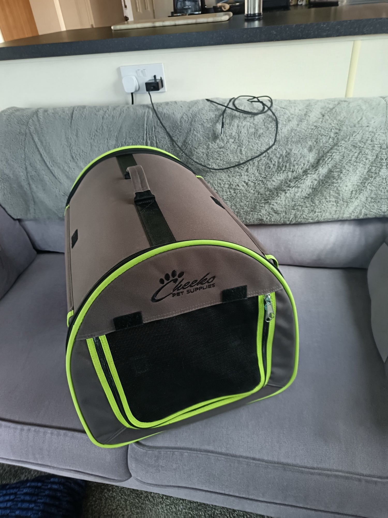 Hayling Island Dog pet carrier 