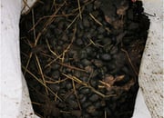 Alpaca Beans large bags - best natural fertiliser you can buy!