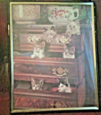 Cats in drawers print framed modern art