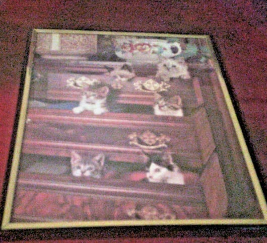 Cats in drawers print framed modern art