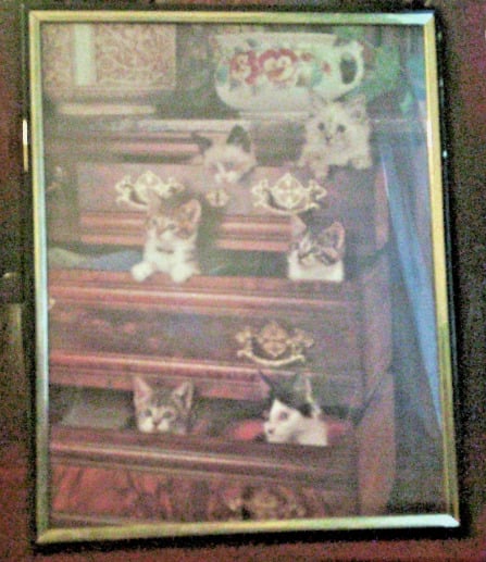 Merton Cats in drawers print framed modern art