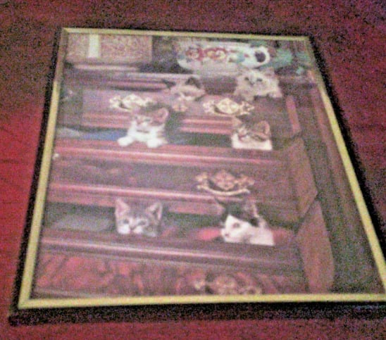 Cats in drawers print framed modern art - Home Decor in Merton