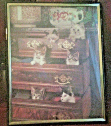 Cats in drawers print framed modern art - Home Decor
