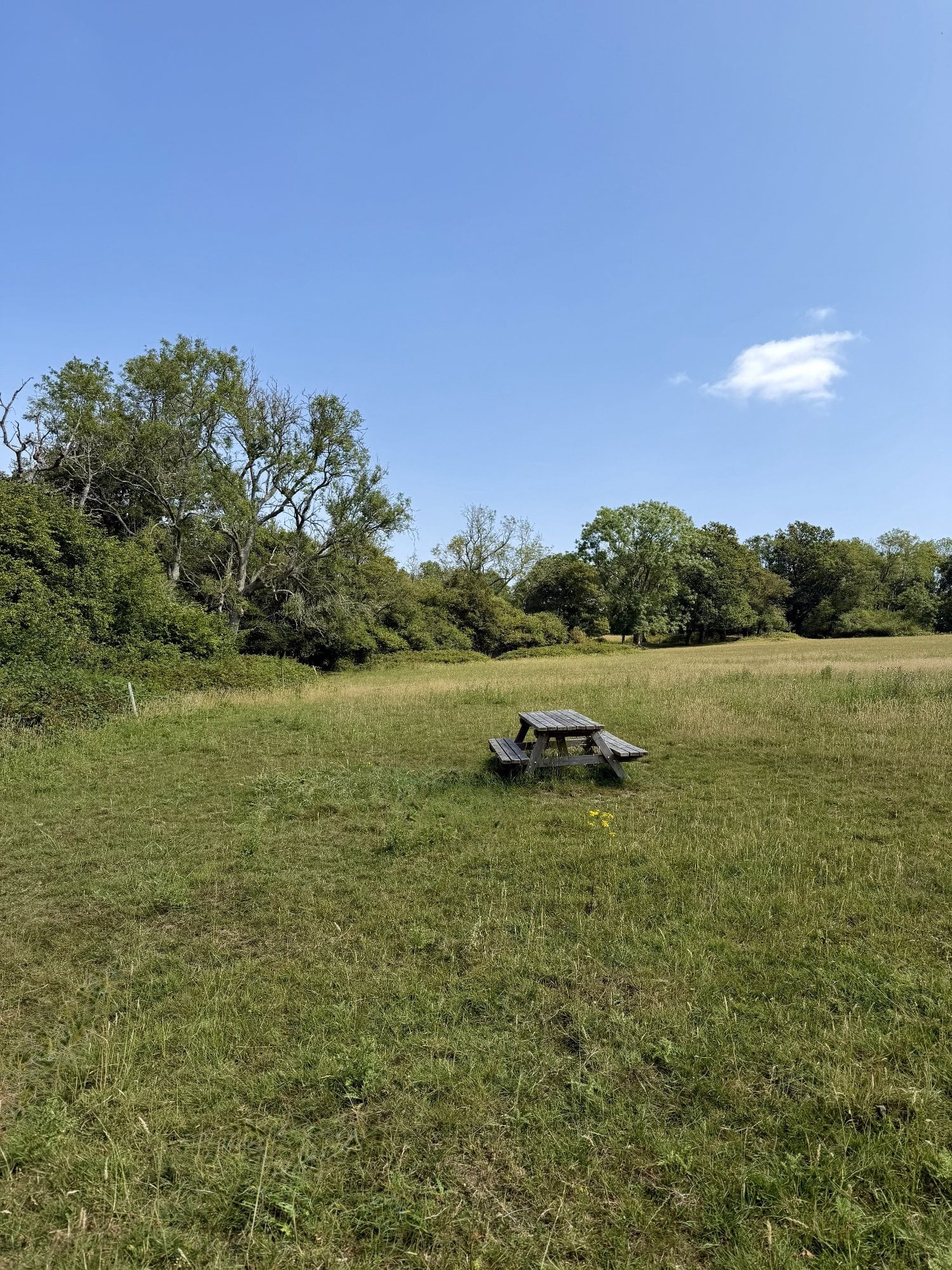 Freehold Land - Plot 18A,.46 Acres, Cowden, Kent