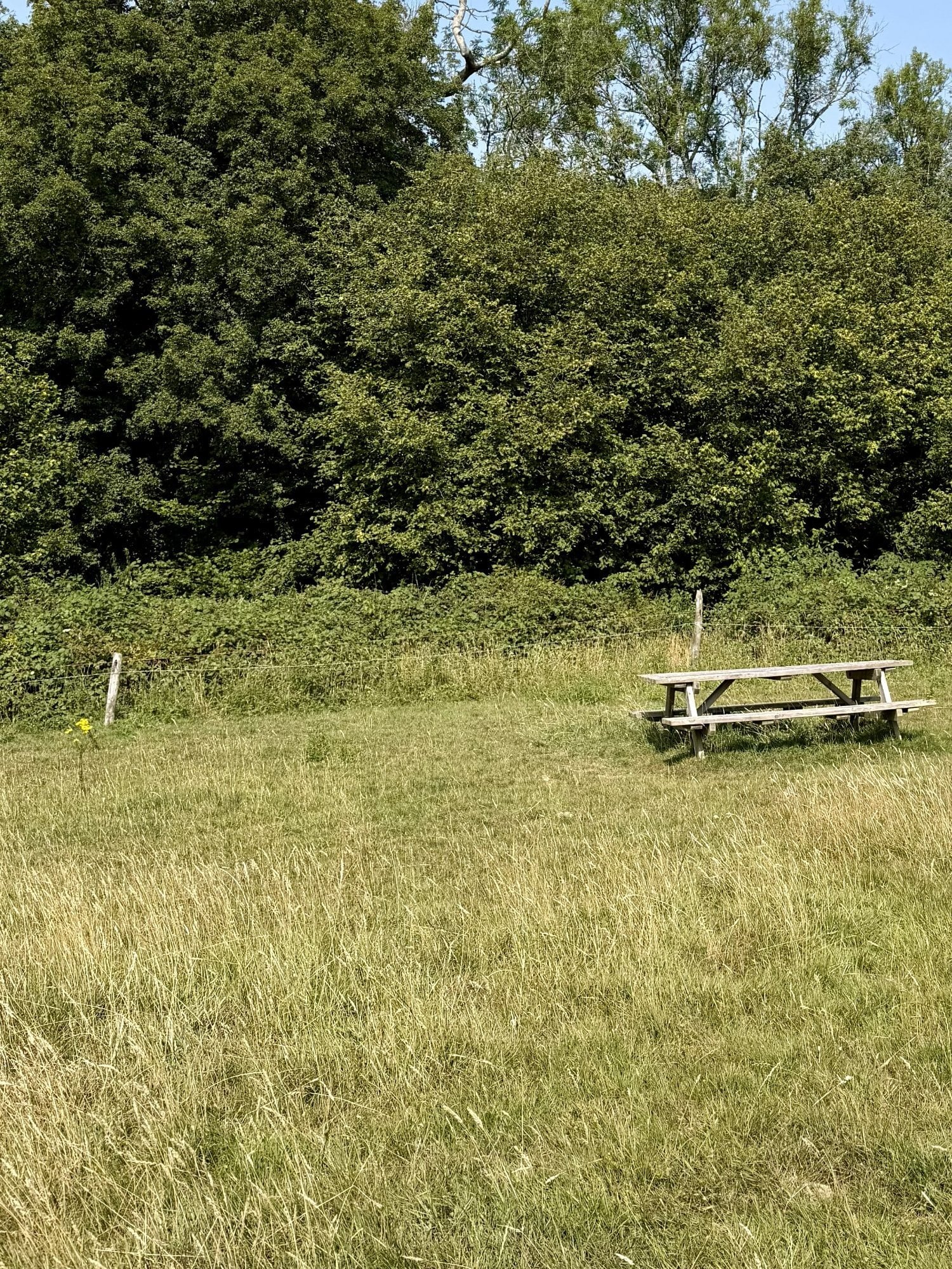 Edenbridge Freehold Land - Plot 18A,.46 Acres, Cowden, Kent