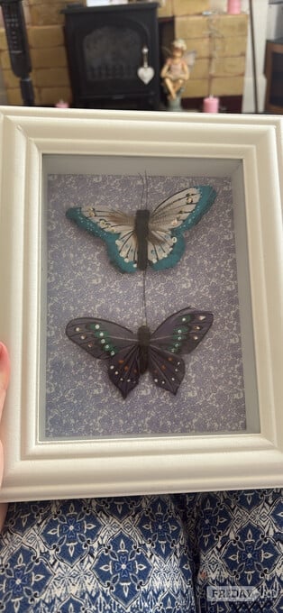 Butterfly pictures with white frame
