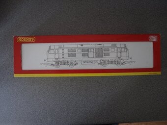 Hornby R2238B class29 BO BO Diesel Electric Loco D6137