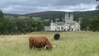 Beautiful Balmoral Castle & Royal Whisky Adventure Tour