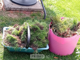 Soil with turf