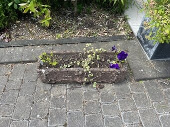 three antique planters