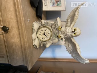 Owls for sale 