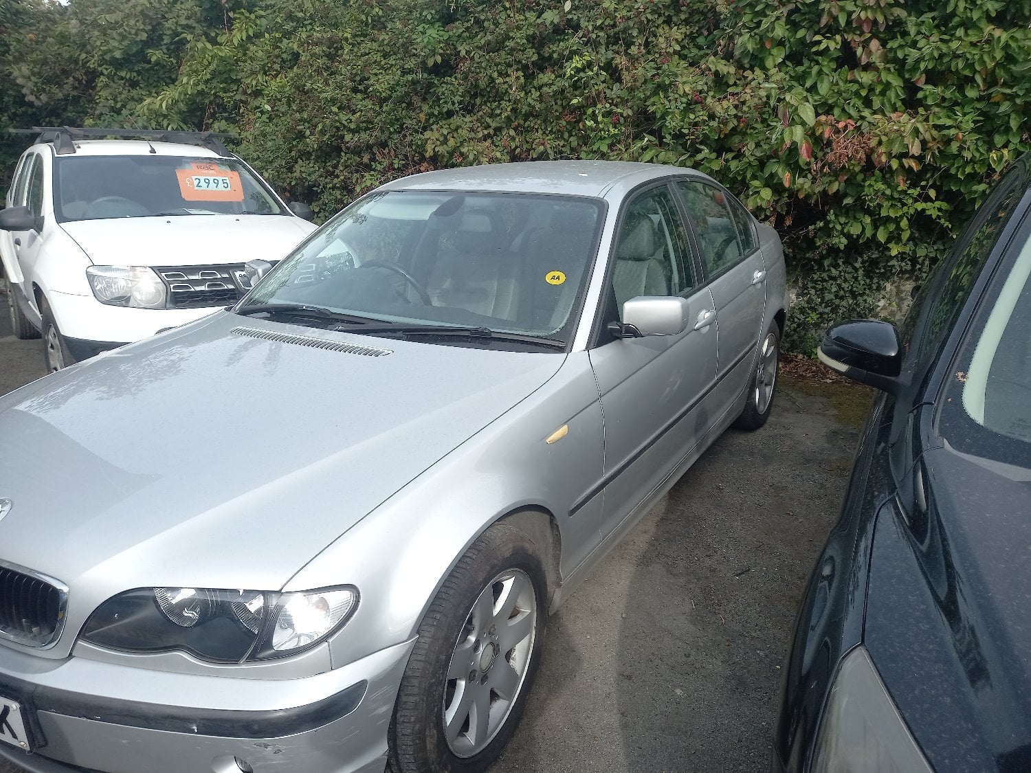 [ berth ]BMW 3 Series