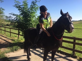 Experienced Rider Wanted 