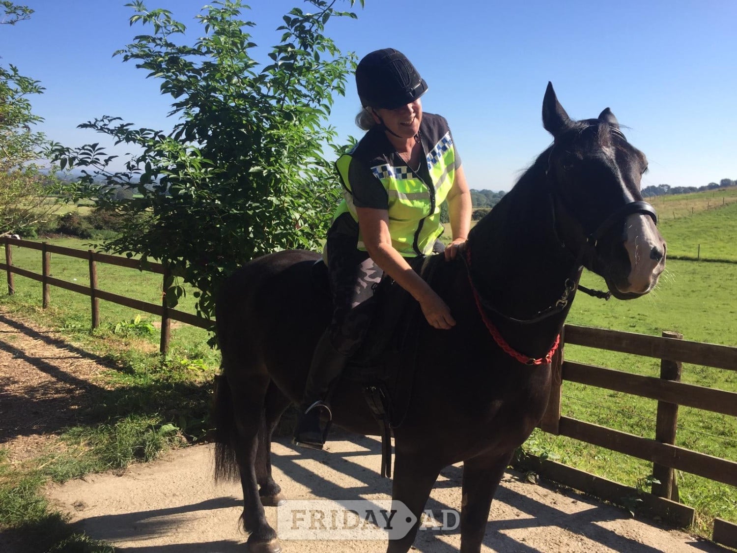 Experienced Rider Wanted  in Hassocks