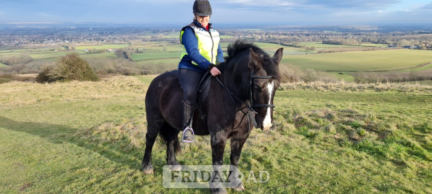 Experienced Rider Wanted 
