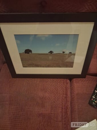 Five beautiful mounted and framed photographs for sale