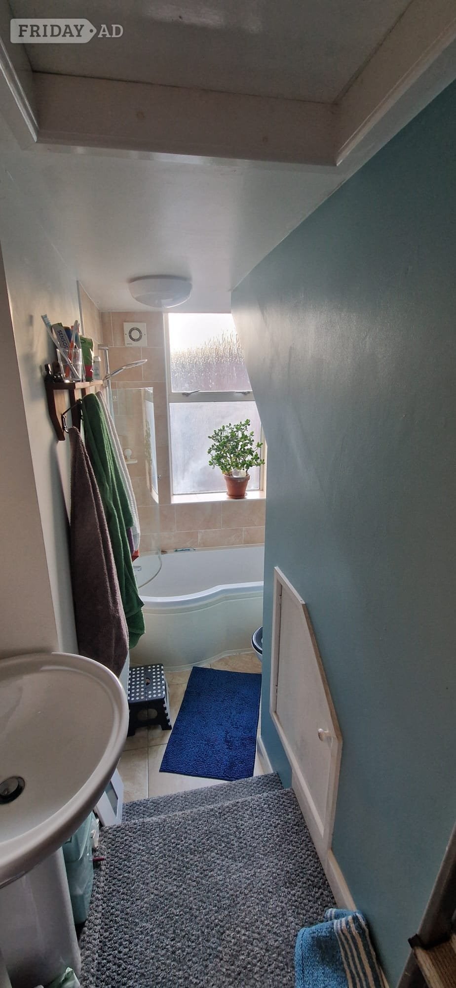 Sunny one bedroom flat, central Hastings -nr Park, Train station - Flats & Apartments in Hastings
