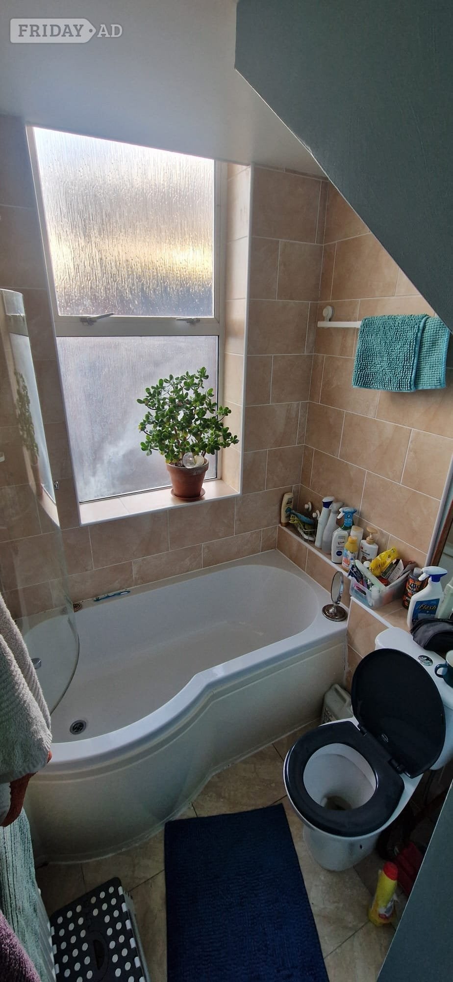 Sunny one bedroom flat, central Hastings -nr Park, Train station - Flats & Apartments