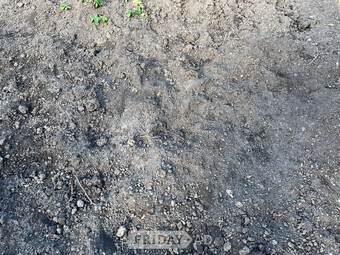 Free Topsoil.  
