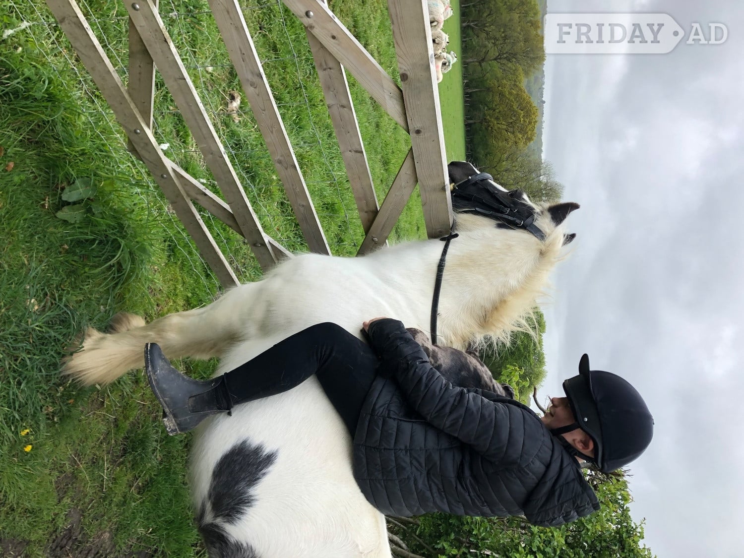 Mayfield Boombroof gorgeous cob