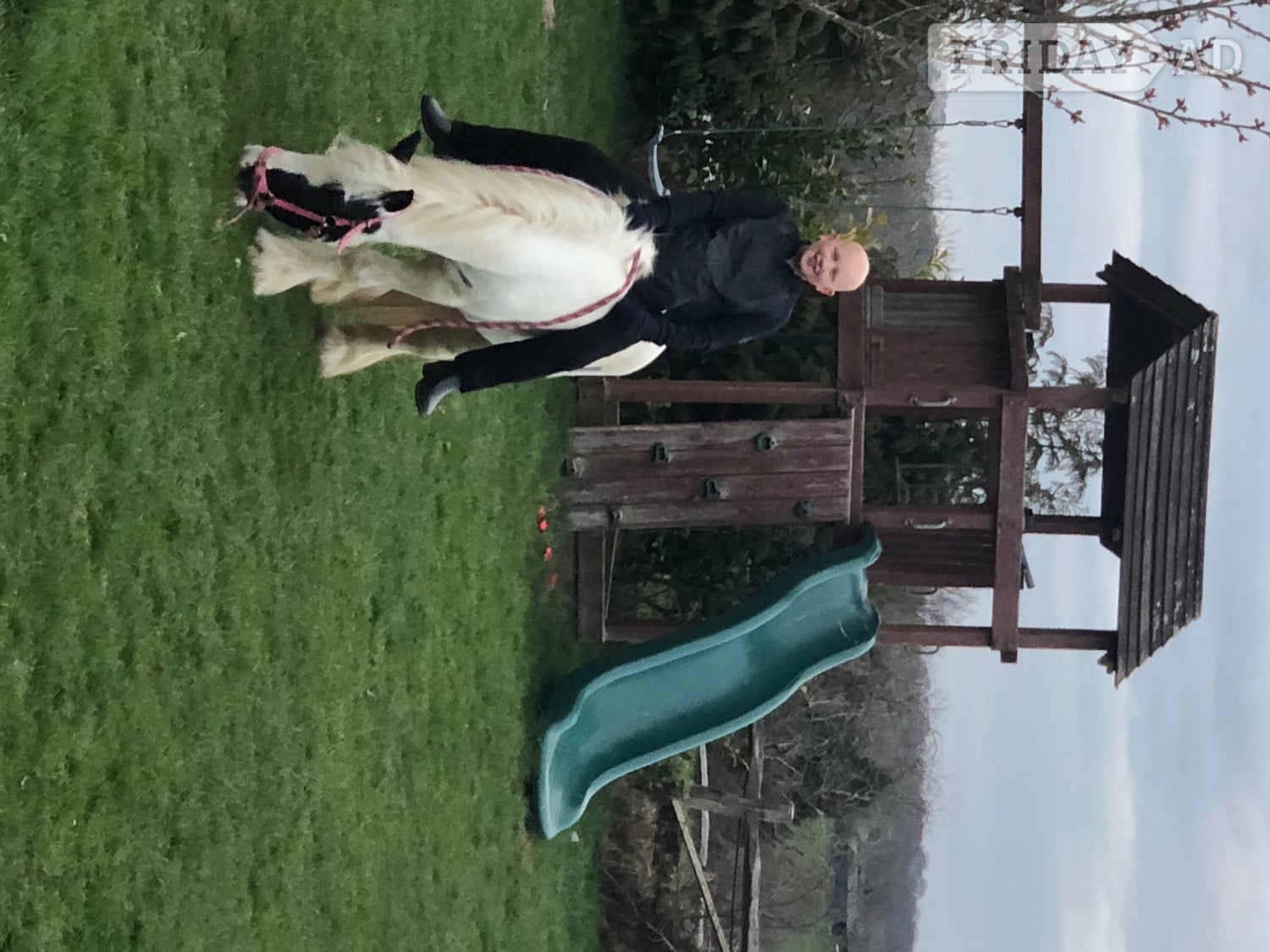Boombroof gorgeous cob - Horses in Mayfield