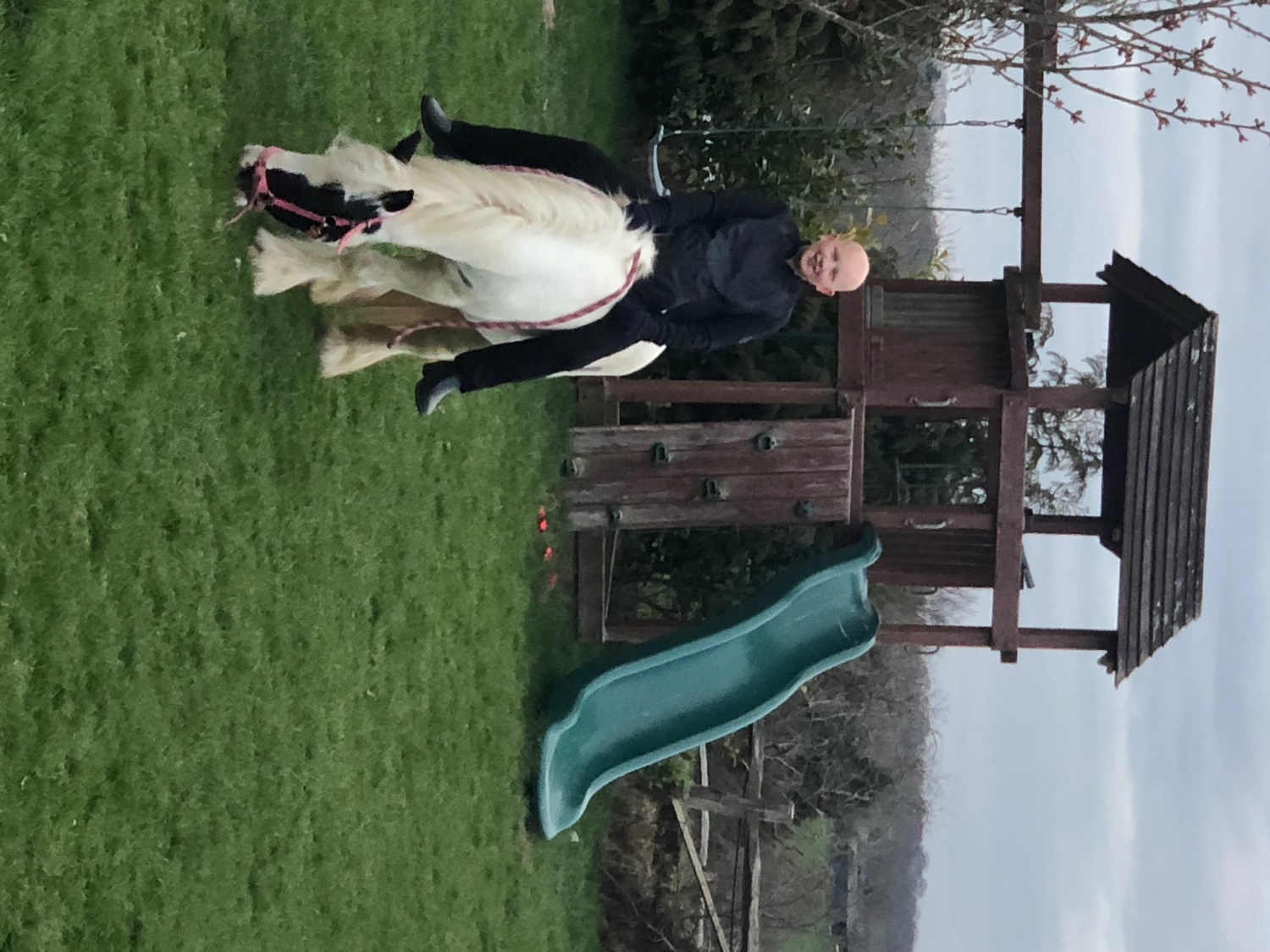Boombroof gorgeous cob - Horses in Mayfield